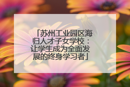 苏州工业园区海归人才子女学校：让学生成为全面发展的终身学习者