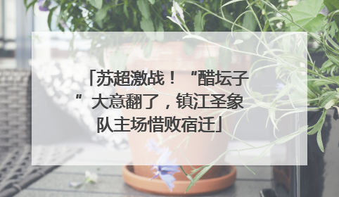 苏超激战！“醋坛子”大意翻了，镇江圣象队主场惜败宿迁