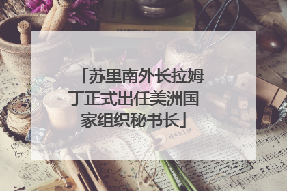 苏里南外长拉姆丁正式出任美洲国家组织秘书长