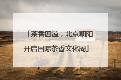 茶香四溢，北京朝阳开启国际茶香文化周