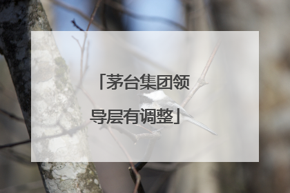 茅台集团领导层有调整