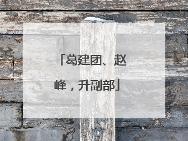 葛建团、赵峰，升副部