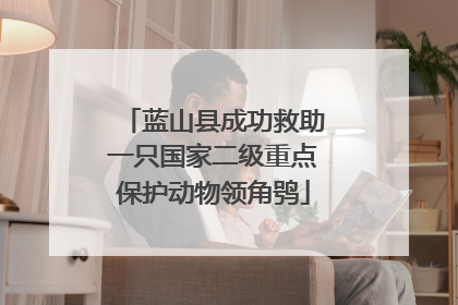 蓝山县成功救助一只国家二级重点保护动物领角鸮