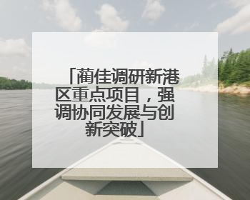 蔺佳调研新港区重点项目，强调协同发展与创新突破