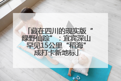 藏在四川的现实版“绿野仙踪”：宜宾深山罕见15公里“稻海”成打卡新地标