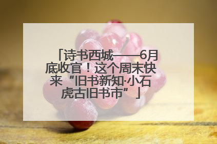 诗书西城——6月底收官！这个周末快来“旧书新知·小石虎古旧书市”