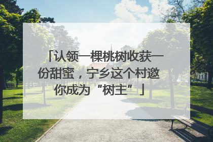 认领一棵桃树收获一份甜蜜，宁乡这个村邀你成为“树主”