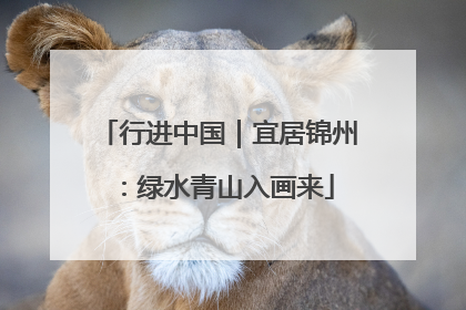 行进中国｜宜居锦州：绿水青山入画来