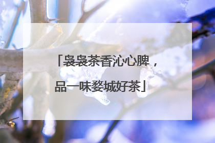袅袅茶香沁心脾，品一味婺城好茶