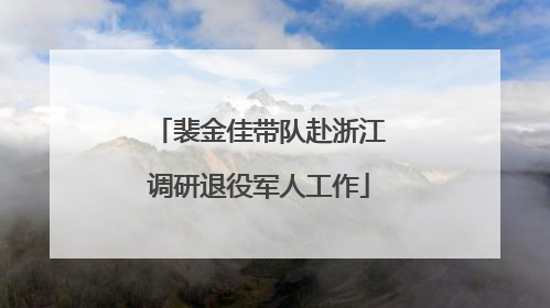 裴金佳带队赴浙江调研退役军人工作