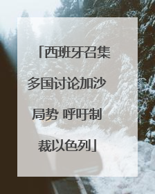 西班牙召集多国讨论加沙局势 呼吁制裁以色列