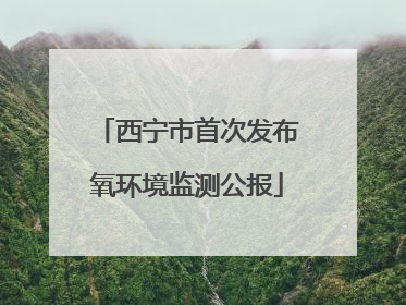 西宁市首次发布氧环境监测公报