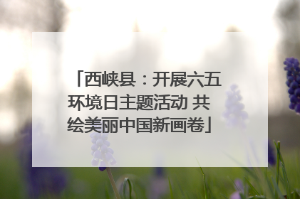 西峡县：开展六五环境日主题活动 共绘美丽中国新画卷