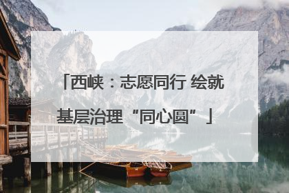 西峡：志愿同行 绘就基层治理“同心圆”