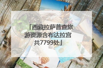 西藏拉萨普查旅游资源含布达拉宫共7799处