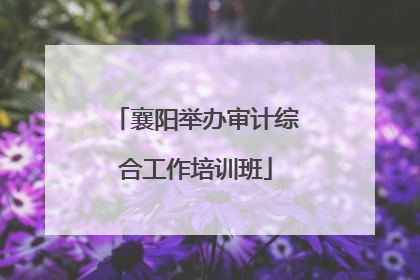 襄阳举办审计综合工作培训班