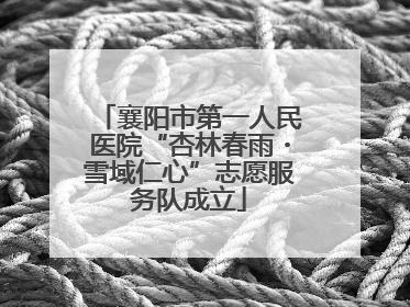襄阳市第一人民医院“杏林春雨・雪域仁心”志愿服务队成立