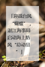 迎战台风“蝴蝶”，湛江海事局启动海上防风“总动员”