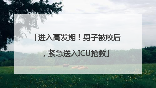 进入高发期！男子被咬后，紧急送入ICU抢救