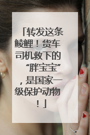 转发这条鲮鲤！货车司机救下的“胖宝宝”，是国家一级保护动物！