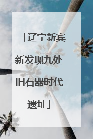 辽宁新宾新发现九处旧石器时代遗址