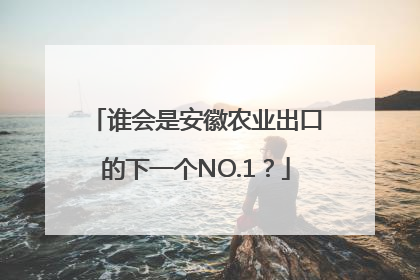 谁会是安徽农业出口的下一个NO.1？