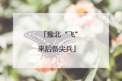 豫北“飞”来后备尖兵
