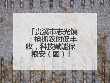 贵溪市志光镇：抢抓农时促丰收，科技赋能保粮安（图）