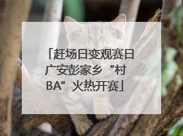 赶场日变观赛日 广安彭家乡“村BA”火热开赛