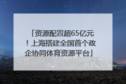 资源配置超65亿元！上海搭建全国首个政企协同体育资源平台