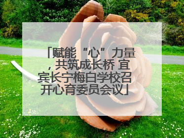 赋能“心”力量，共筑成长桥 宜宾长宁梅白学校召开心育委员会议