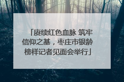 赓续红色血脉 筑牢信仰之基，枣庄市银龄榜样记者见面会举行