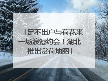 足不出户与荷花来一场浪漫约会！湖北推出赏荷地图