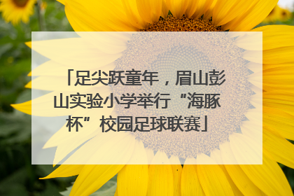 足尖跃童年，眉山彭山实验小学举行“海豚杯”校园足球联赛