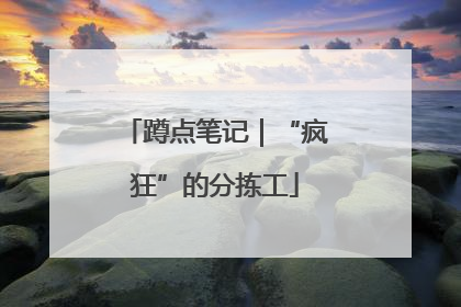 蹲点笔记｜“疯狂”的分拣工