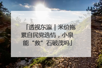 透视东瀛｜米价拖累自民党选情，小泉能“救”石破茂吗