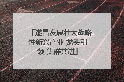 遂昌发展壮大战略性新兴产业 龙头引领 集群共进