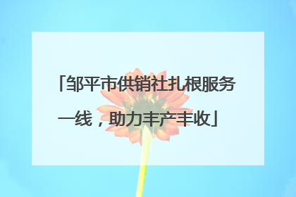 邹平市供销社扎根服务一线，助力丰产丰收