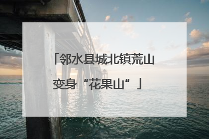 邻水县城北镇荒山变身“花果山”