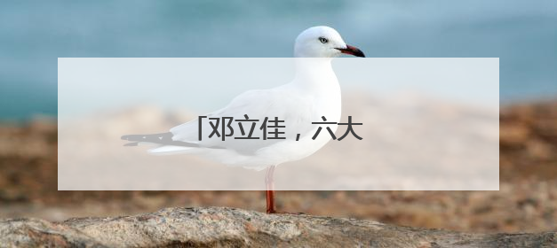 邓立佳，六大纪律全部违反