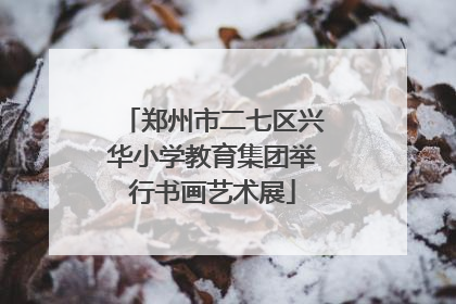 郑州市二七区兴华小学教育集团举行书画艺术展