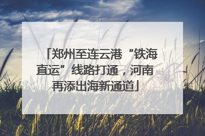 郑州至连云港“铁海直运”线路打通，河南再添出海新通道