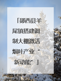 郧西县羊尾镇搭建调制大棚激活烟叶产业“新动能”