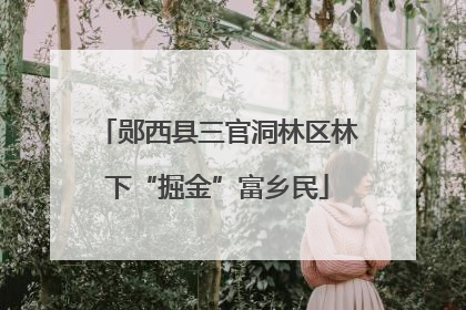 郧西县三官洞林区林下“掘金”富乡民