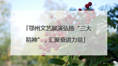 鄂州文艺展演弘扬“三大精神”，汇聚奋进力量
