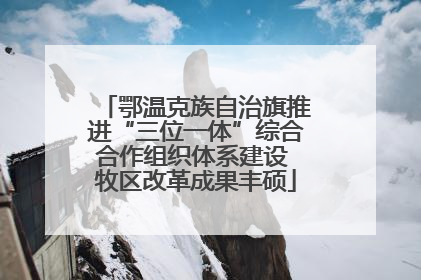 鄂温克族自治旗推进“三位一体”综合合作组织体系建设 牧区改革成果丰硕