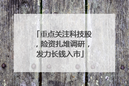 重点关注科技股，险资扎堆调研，发力长钱入市