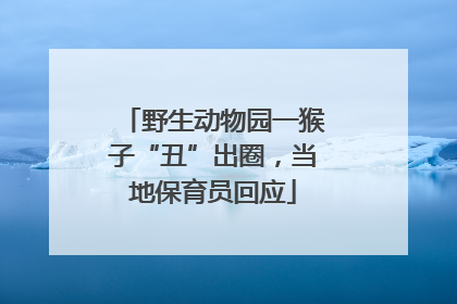 野生动物园一猴子“丑”出圈，当地保育员回应