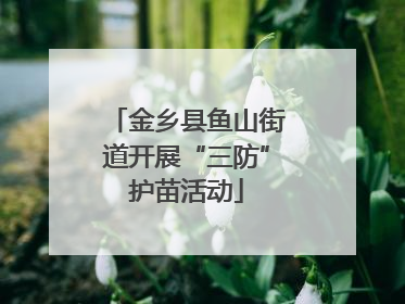 金乡县鱼山街道开展“三防”护苗活动