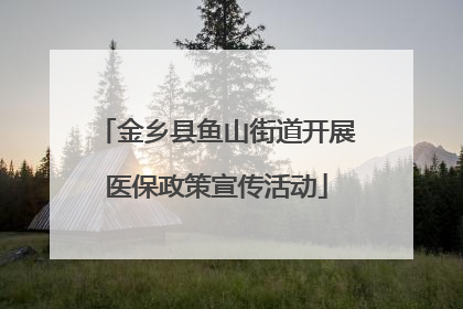 金乡县鱼山街道开展医保政策宣传活动